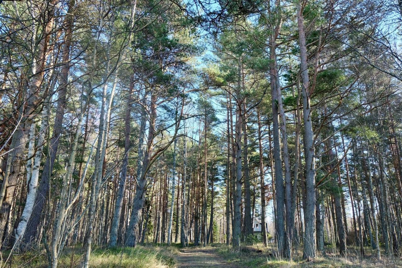 Tahkuna Puhkekeskus Hiiumaa Bagian luar foto