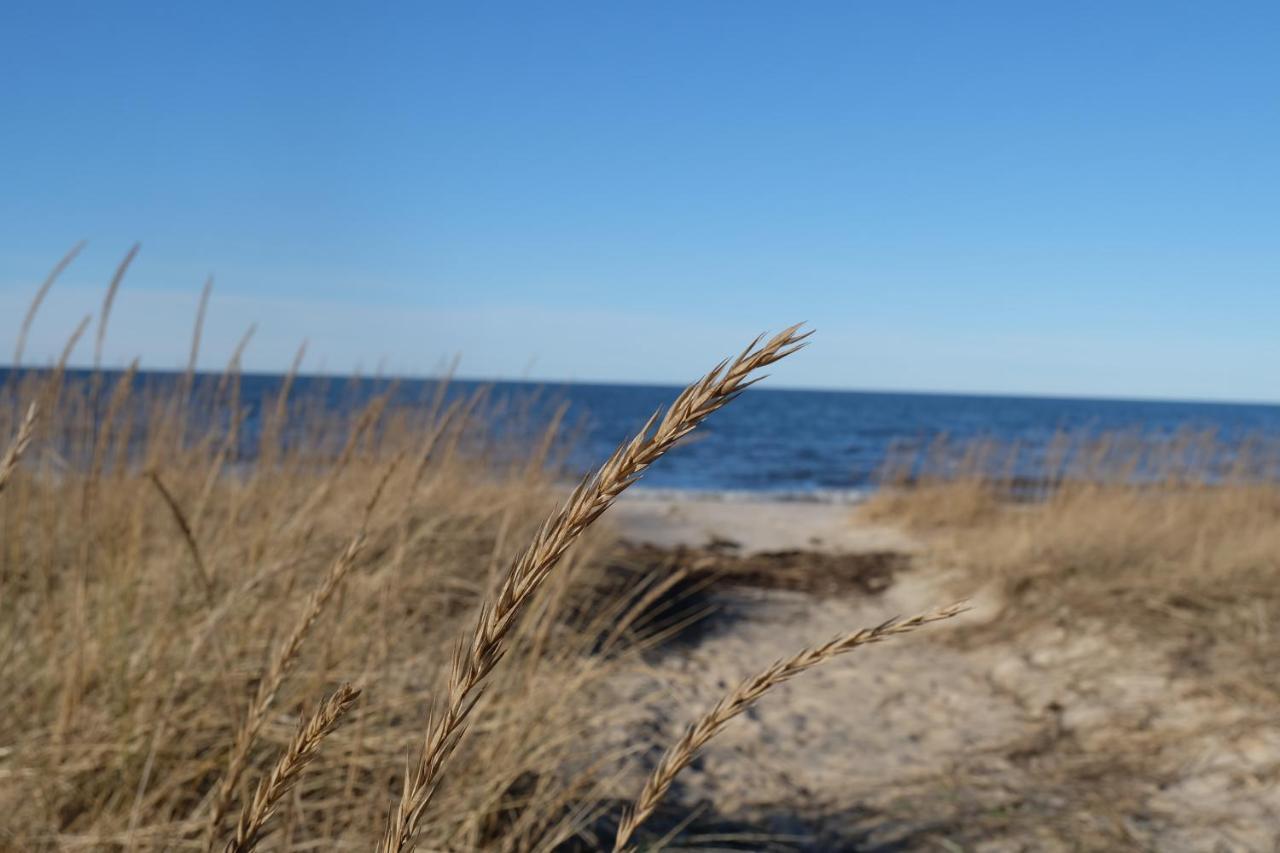 Tahkuna Puhkekeskus Hiiumaa Bagian luar foto